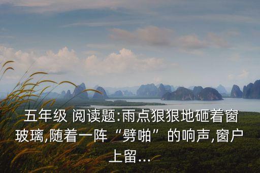  五年級 閱讀題:雨點狠狠地砸著窗玻璃,隨著一陣“劈啪”的響聲,窗戶上留...