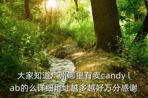 廣州有賣豆乳盒子的嗎，大家知道廣州哪里有賣candy lab的么詳細(xì)地址越多越好萬分感謝