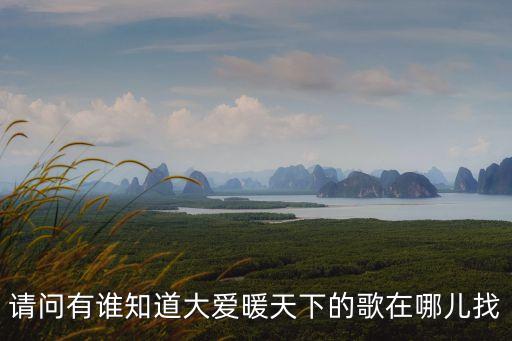 請(qǐng)問有誰知道大愛暖天下的歌在哪兒找