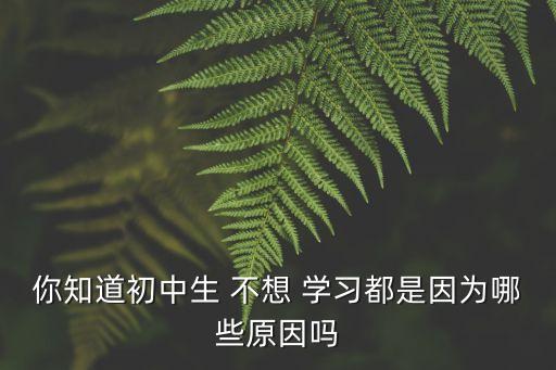 你知道初中生 不想 學習都是因為哪些原因嗎