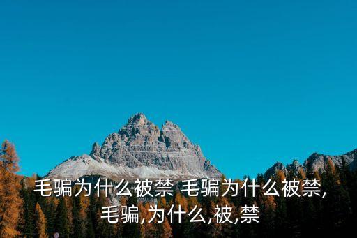  毛騙為什么被禁 毛騙為什么被禁, 毛騙,為什么,被,禁