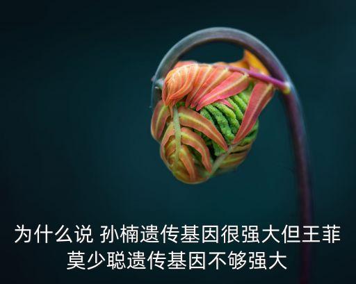 為什么說 孫楠遺傳基因很強大但王菲莫少聰遺傳基因不夠強大