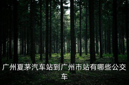 廣州夏茅汽車站到廣州市站有哪些公交車
