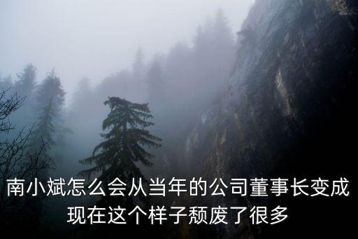 廣州天一忠糧董事長，南小斌怎么會從當年的公司董事長變成現在這個樣子頹廢了很多