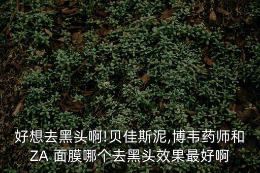 好想去黑頭啊!貝佳斯泥,博韋藥師和ZA 面膜哪個去黑頭效果最好啊