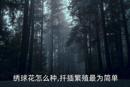  繡球花怎么種,扦插繁殖最為簡(jiǎn)單