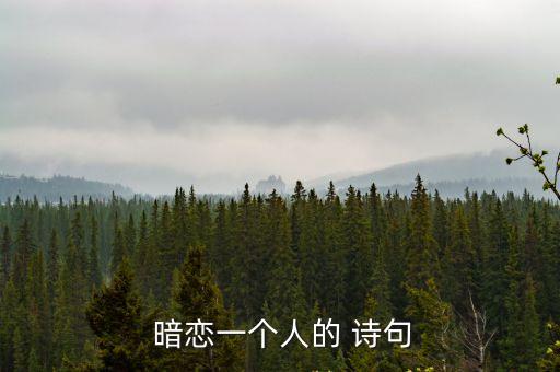  暗戀一個人的 詩句