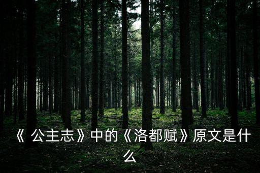 公主志