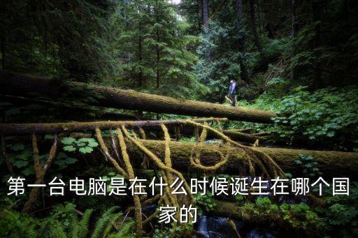 第一臺電腦是在什么時候誕生在哪個國家的