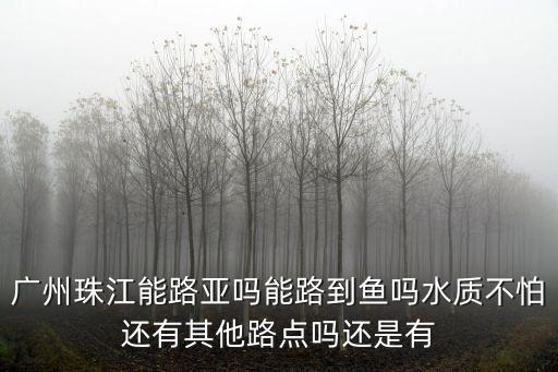 廣州珠江能路亞嗎能路到魚(yú)嗎水質(zhì)不怕還有其他路點(diǎn)嗎還是有