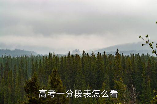 高考一分段表怎么看
