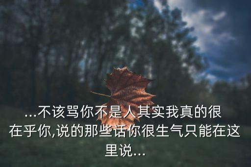 ...不該罵你不是人其實我真的很 在乎你,說的那些話你很生氣只能在這里說...