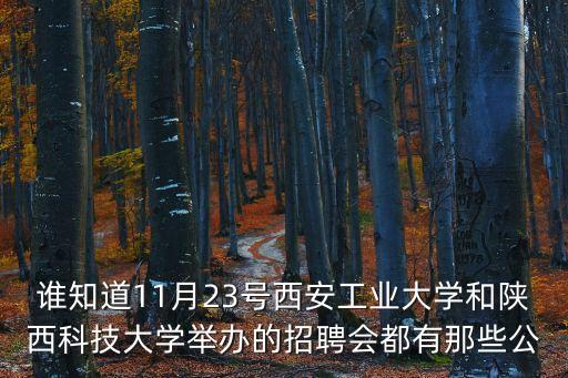 誰知道11月23號西安工業(yè)大學(xué)和陜西科技大學(xué)舉辦的招聘會都有那些公