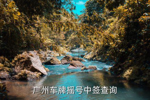 廣州中小客車中簽查詢，廣州車牌搖號(hào)中簽查詢