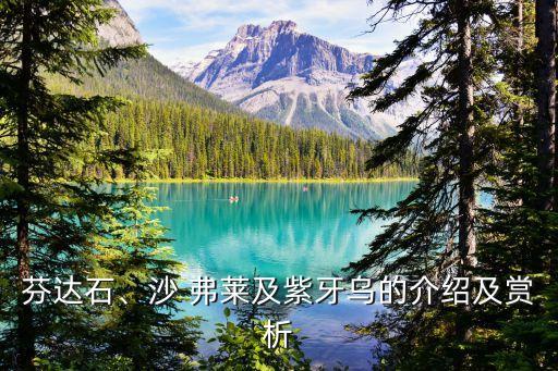 沙弗萊石