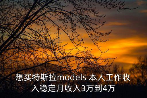 想買特斯拉models 本人工作收入穩定月收入3萬到4萬
