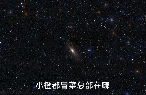 小橙都冒菜總部在哪