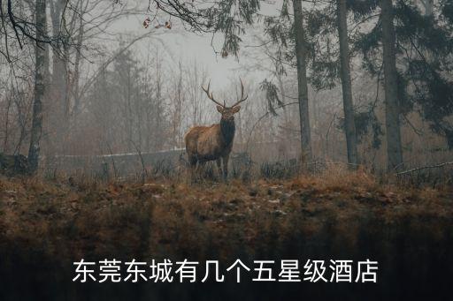 東莞鉑爾曼五星，東莞東城有幾個五星級酒店