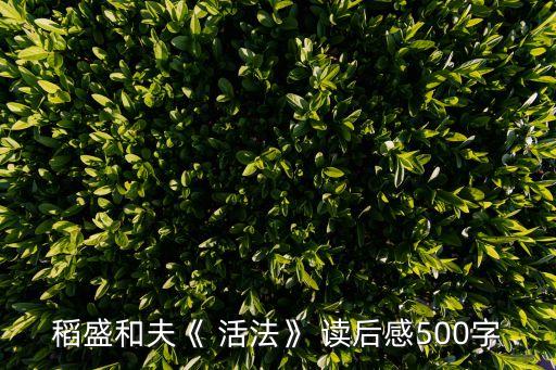 活法讀后感與心得,看完《活法》讀后感5篇