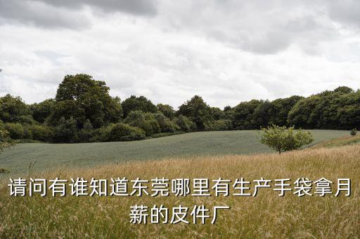 請問有誰知道東莞哪里有生產手袋拿月薪的皮件廠