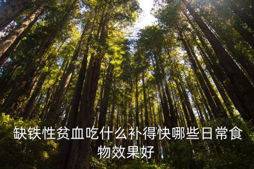 缺鐵怎么補(bǔ)最快,一歲寶寶缺鐵怎么補(bǔ)最快