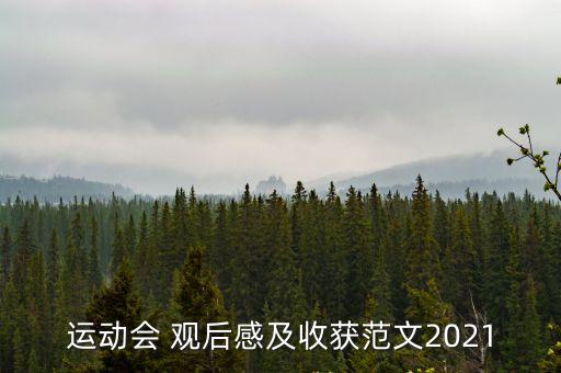 運動會 觀后感及收獲范文2021