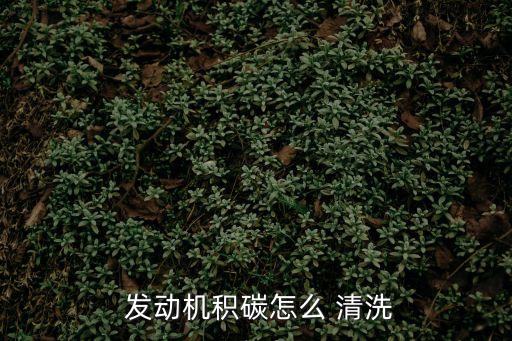 發動機積碳怎么 清洗