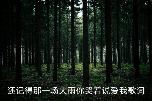 還記得那一場大雨你哭著說愛我歌詞