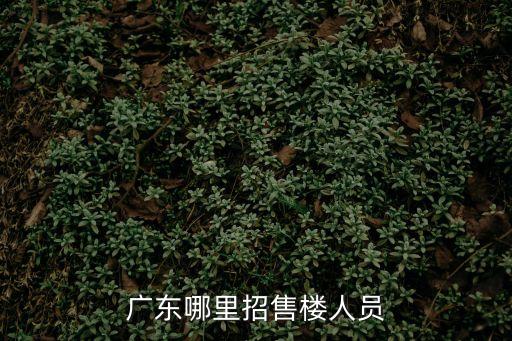 廣東哪里招售樓人員