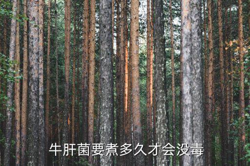  牛肝菌要煮多久才會沒毒