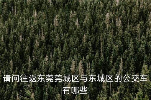 請問往返東莞莞城區與東城區的公交車有哪些