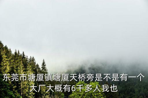 東莞塘廈鋁合金加工廠，東莞市塘廈鎮(zhèn)塘廈天橋旁是不是有一個(gè)大廠大概有6千多人我也