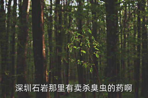深圳石巖那里有賣殺臭蟲的藥啊