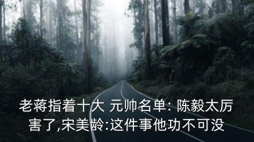 陳毅元帥,陳毅元帥下圍棋有趣事