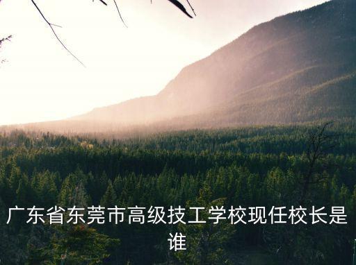 東莞溫曉欣，東莞暢嘉進出口有限公司有人去過考察嗎