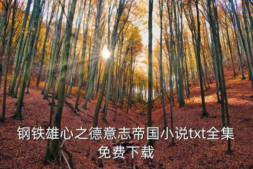 鋼鐵雄心之德意志帝國小說txt全集免費下載