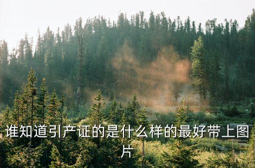 誰知道引產(chǎn)證的是什么樣的最好帶上圖片