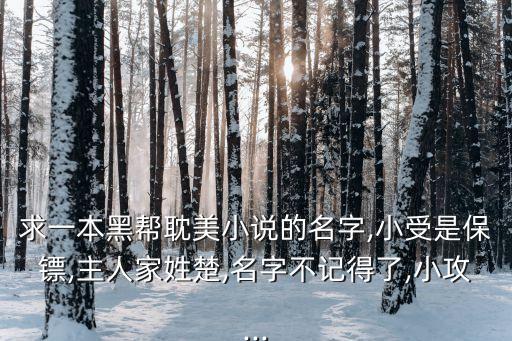 求一本黑幫耽美小說的名字,小受是保鏢,主人家姓楚,名字不記得了,小攻...
