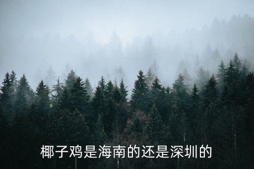 椰子雞是海南的還是深圳的