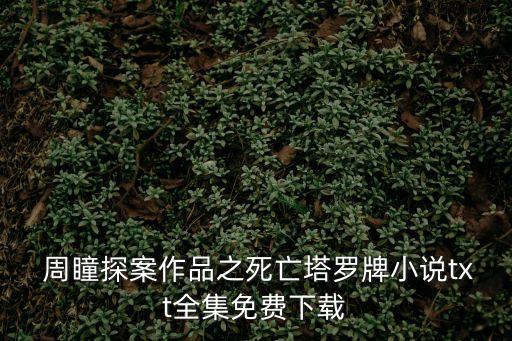 周瞳,《周瞳探案系列》第六部完結