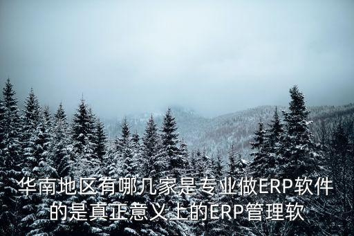 華南地區有哪幾家是專業做ERP軟件的是真正意義上的ERP管理軟