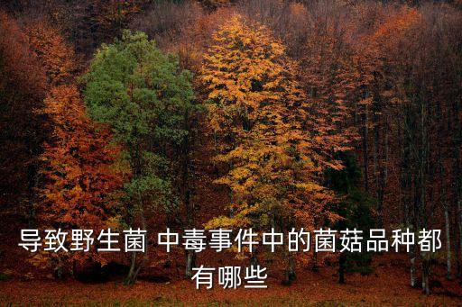 牛肝菌中毒,牛肝菌煮太久會破壞營養(yǎng)素