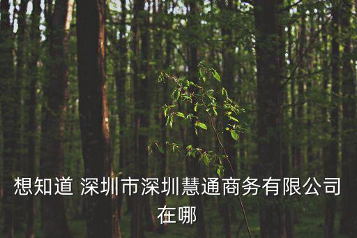 深圳市圣子通投資發展有限公司，在深圳這樣的公司名稱能否注冊