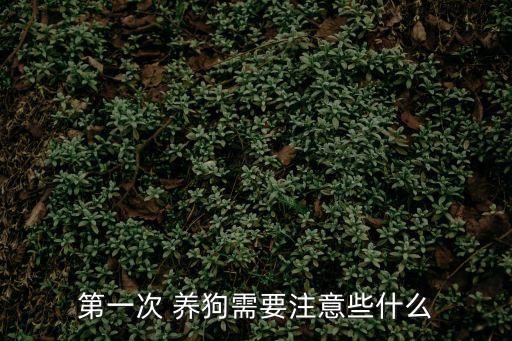 第一次 養(yǎng)狗需要注意些什么