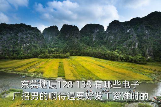 東莞塘廈華恩電子科技，東莞塘廈128 138 有哪些電子廠招男的啊待遇要好發(fā)工資準時的