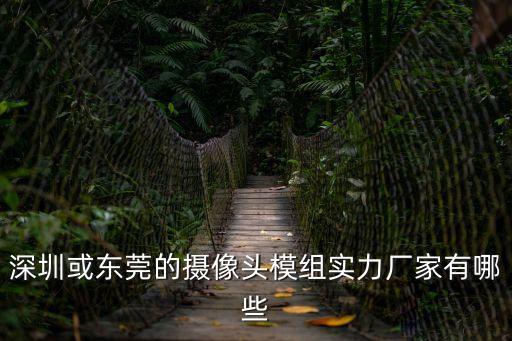 深圳或東莞的攝像頭模組實力廠家有哪些