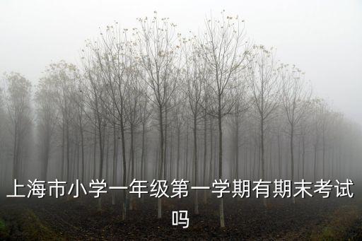 2019上海市小學一年級期末，今年上海小學期末考試安排在何時