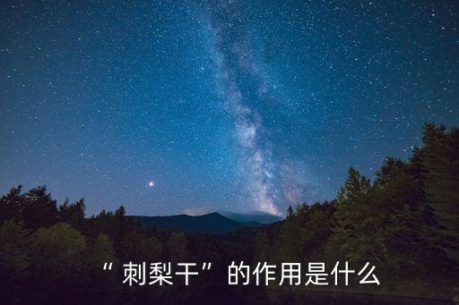 刺梨干果