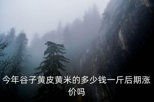 今年谷子黃皮黃米的多少錢一斤后期漲價嗎