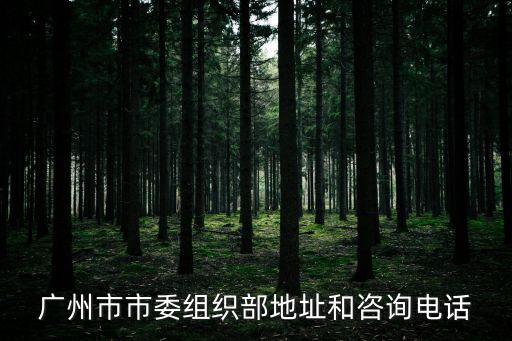廣州市市委組織部地址和咨詢電話